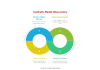 Synthetic Media