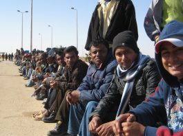 Migration Studies