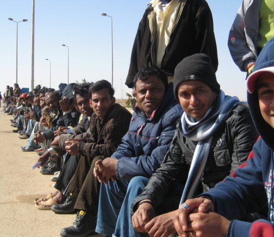 Migration Studies